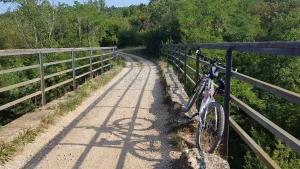 Cycle through Istria's enchanting landscapes
